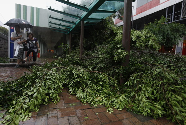 Typhoon Vicente lashes South China