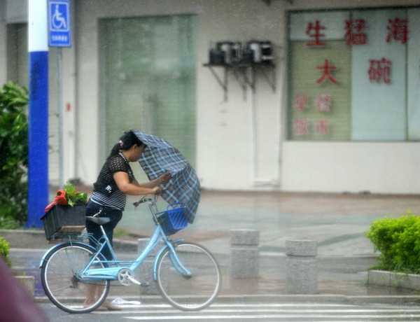 Typhoon Vicente lashes South China