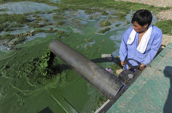 New way to fight off blue-green algae