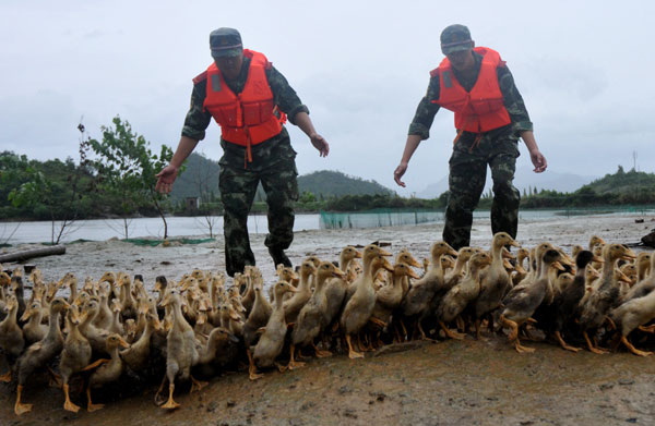Animals protected as typhoon approaches