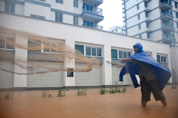 Typhoon brings fish to streets