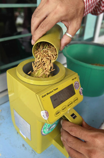 Intervention puts Thai rice exporters in peril