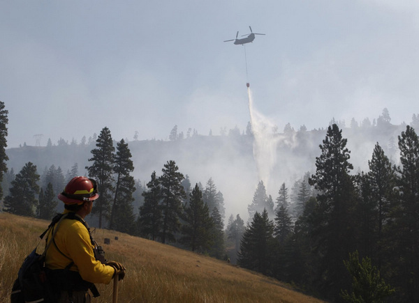 Wildfires devastate the West US