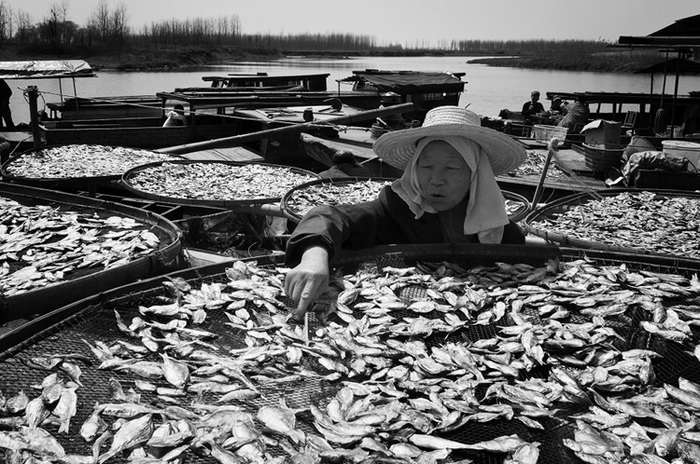 Photo Selection: Oh, I See