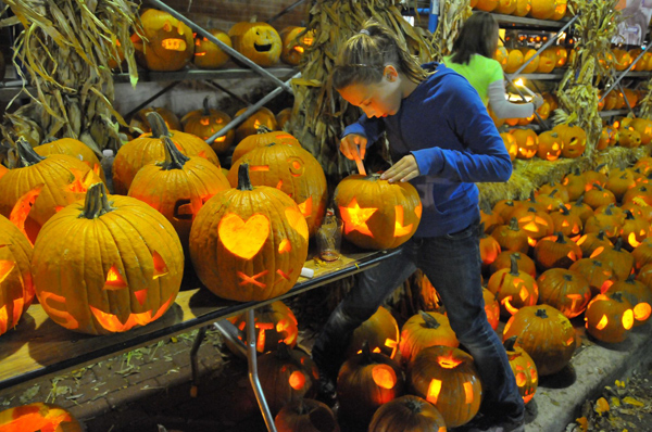 40,000 pumpkins lit to beat Guinness World Record