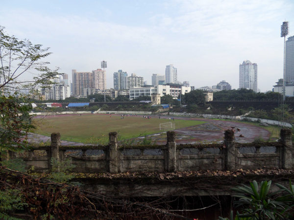 Historic stadium becomes vegetable plot