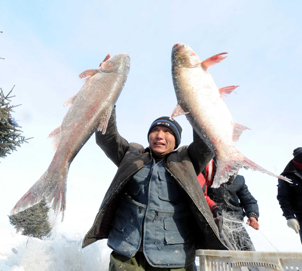 Winter fishing festival marked in NE China
