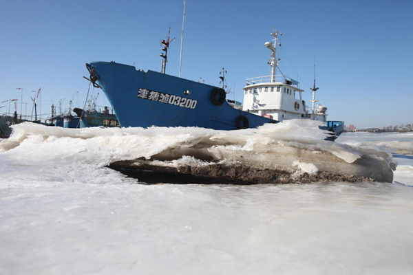 Cold waves continue to bring sea ice in coastal provinces