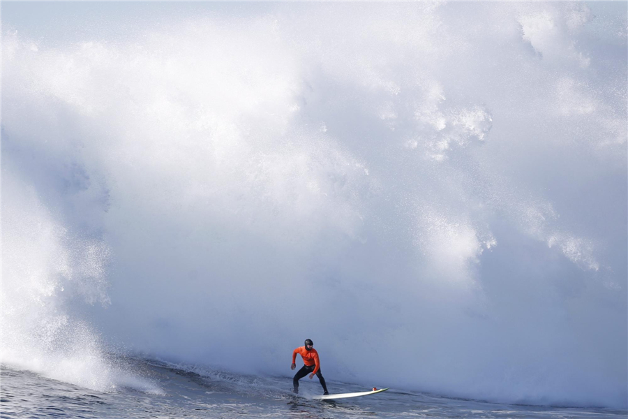 Surfing competition held in Calif.