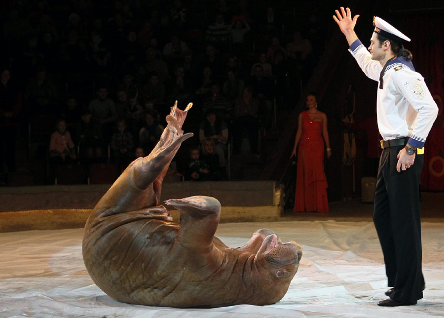 'From Heart to Heart' show in Kiev