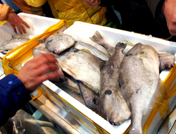 Diaoyu Islands fish on sale in Shanghai