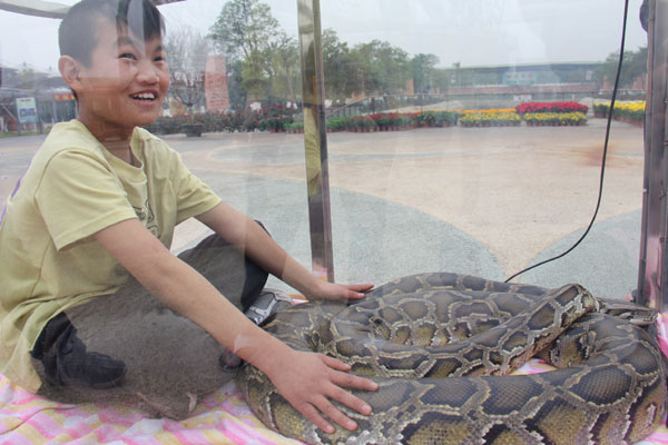 Boy stays with pet python in S China