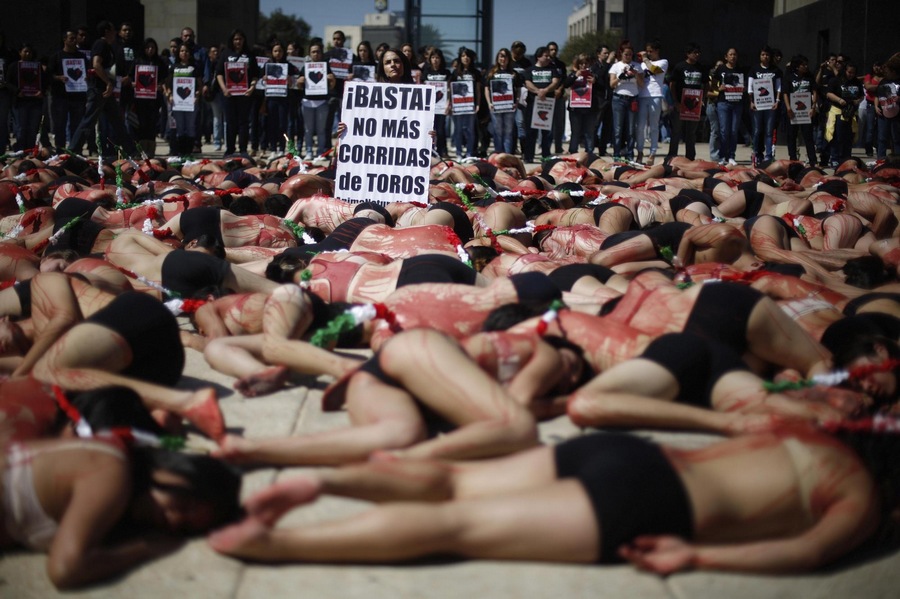 Activists protest against bullfighting in Mexico Activists protest against bullfighting in Mexico