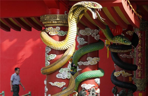 Snake Temple in Malaysia