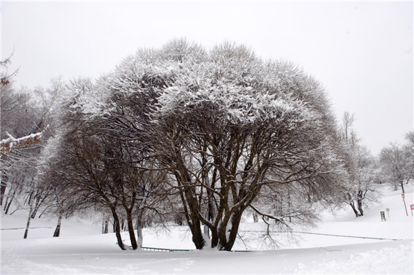 Heavy snowfall blankets Moscow