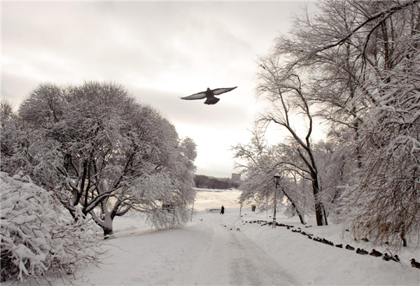 Heavy snowfall blankets Moscow