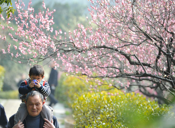 Spring blossom comes to East China