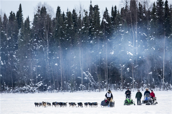 Iditarod dog sled race held in Alaska