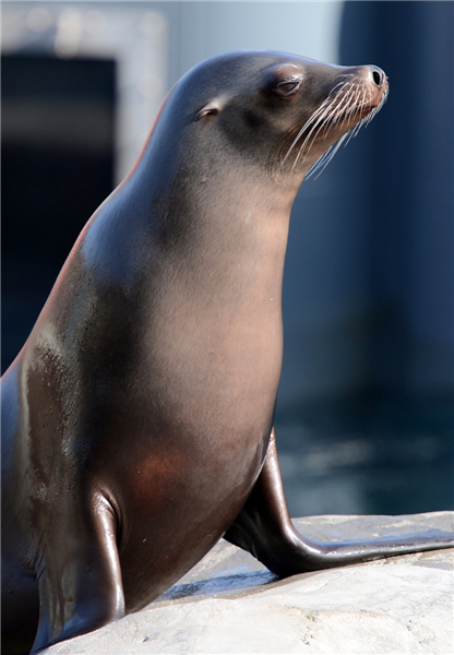 Animals enjoy sunshine in German zoo