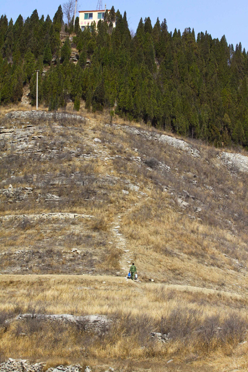 Lone mountain guard