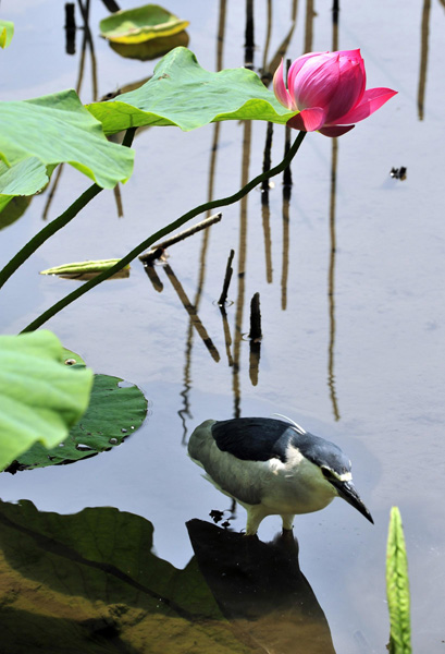 A glimpse of early spring