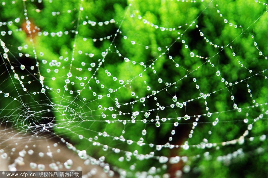 Photo special: World Water Day