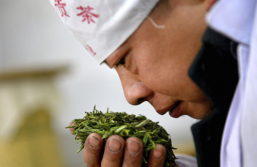 Making of Wujiatai tea from C China