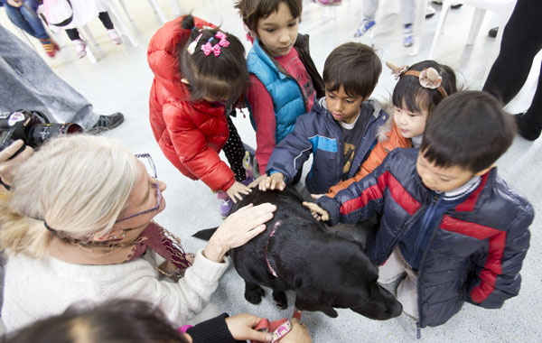 Working dogs meet children