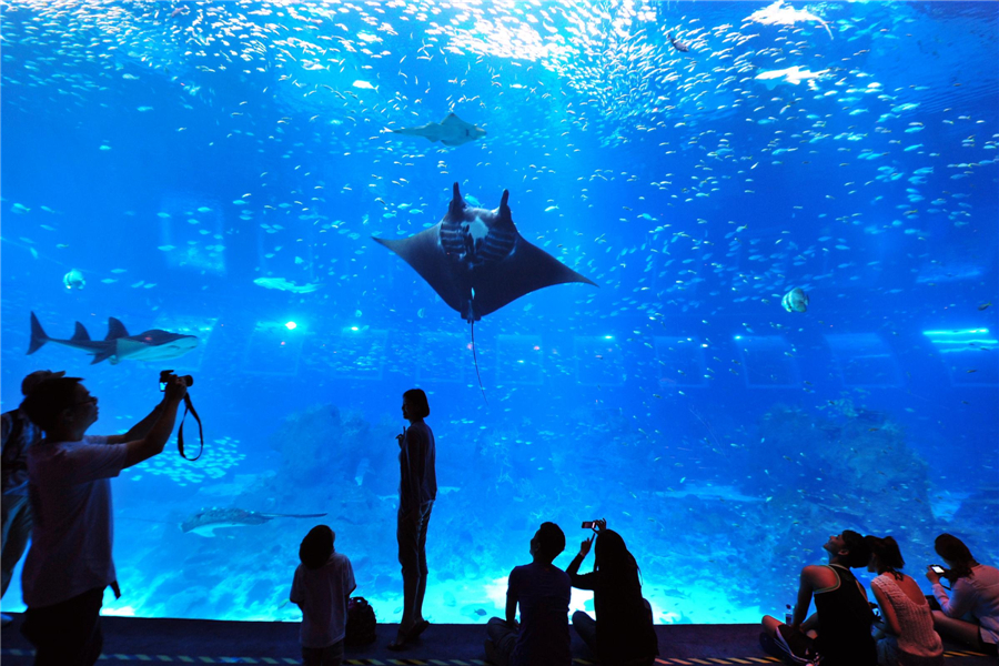 World's largest aquarium in Singapore