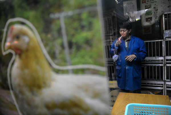 Poultry cages lay empty in H7N9 crackdown