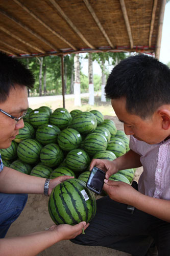 Watermelons now come with scannable data