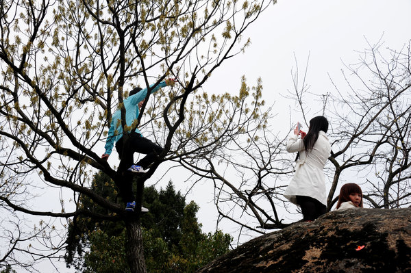 Uncivilized behavior by Chinese tourists