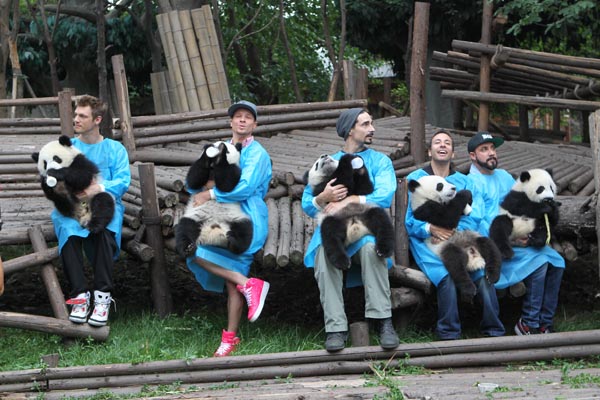 Backstreet Boys love China's pandas