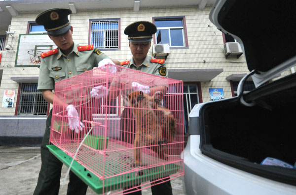 Illegal lemur trade uncovered in E China