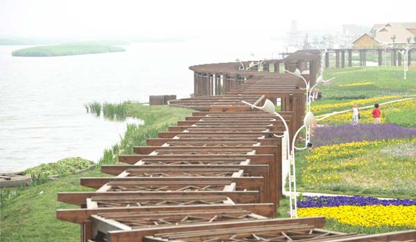 Wetland park opens in Tianjin