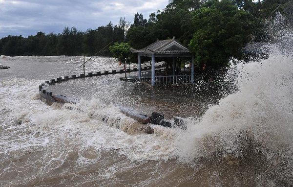 Tropical storm Bebinca brings strong rain to Gu