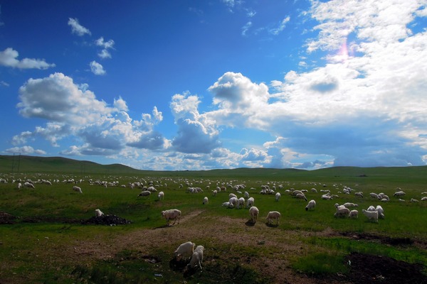 Galloping through prairie in Inner Mongolia