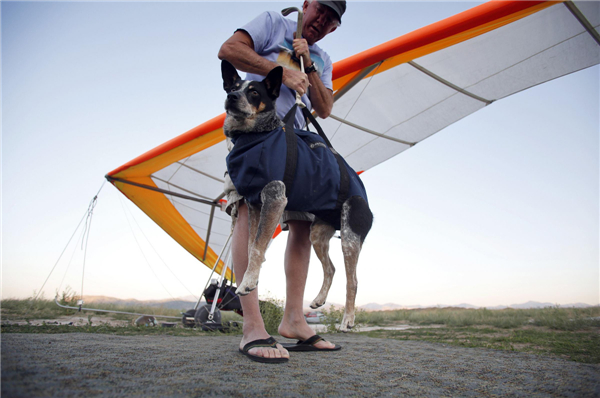 Fly with man's best friend