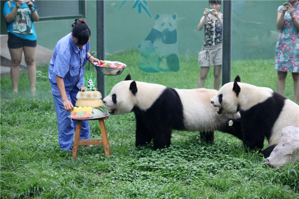 What do pandas like for birthdays?