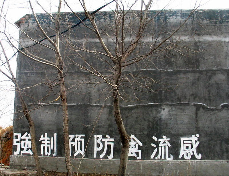 Slogan of time in Modern China