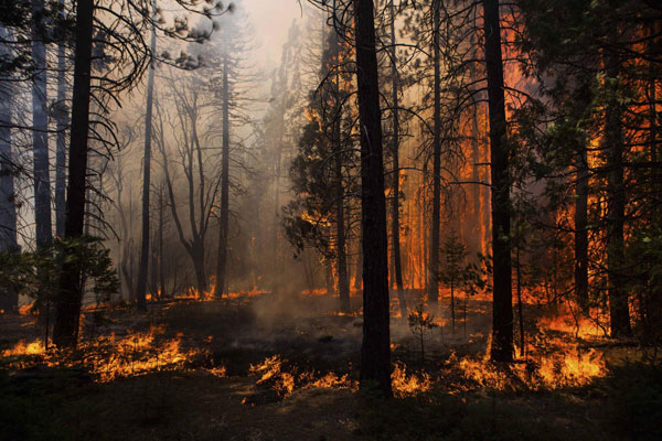 Fast-moving fire rages through California park