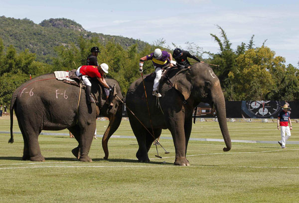 King's Cup Elephant Polo Tournament in Thailand