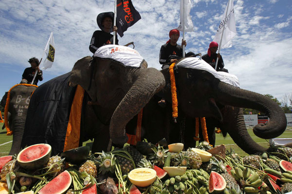 King's Cup Elephant Polo Tournament in Thailand