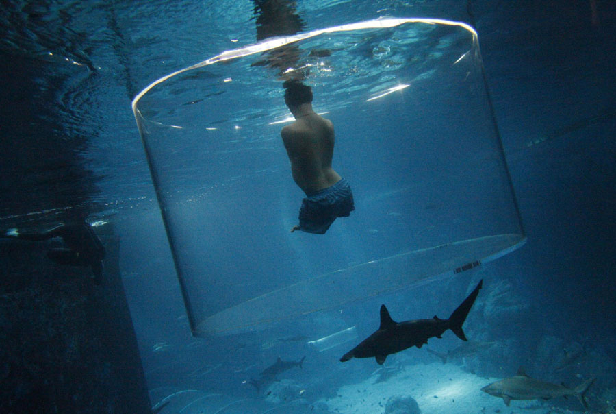 Man swims with sharks without limbs