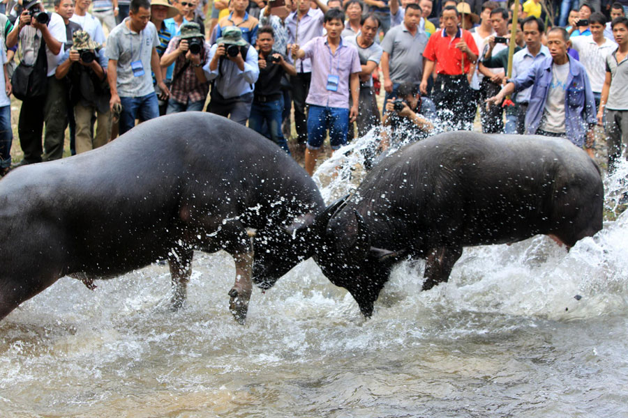 Travel highlights during Golden Week