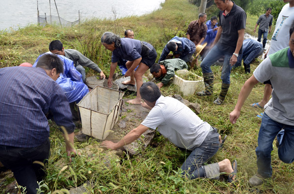 E China battles Typhoon Fitow