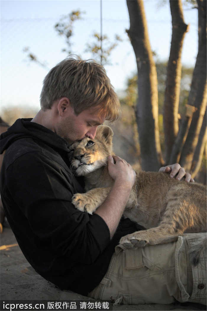 Lioness bonds with new family