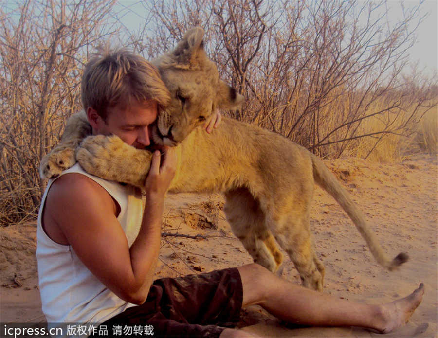 Lioness bonds with new family