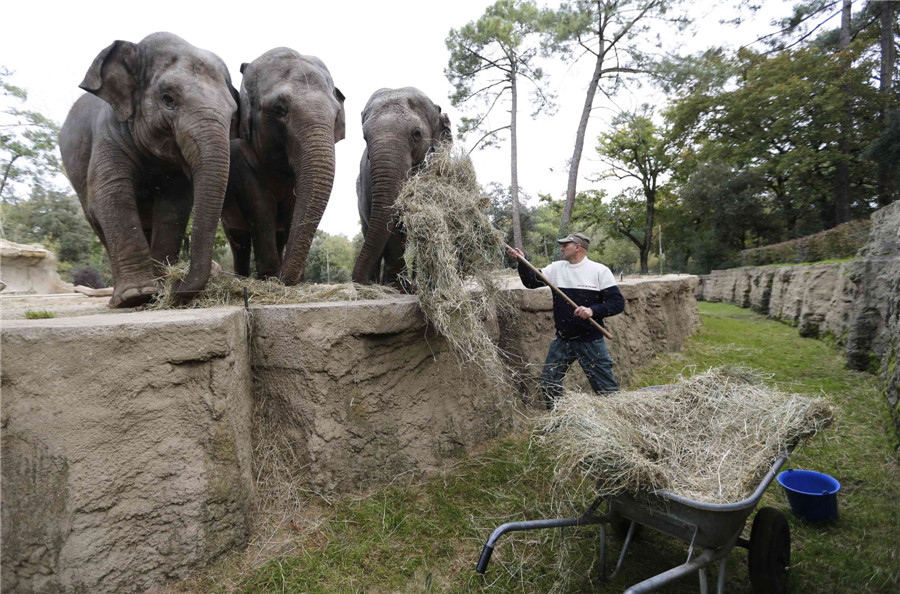 Private Palmyre Zoo in France