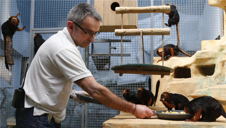 Private Palmyre Zoo in France